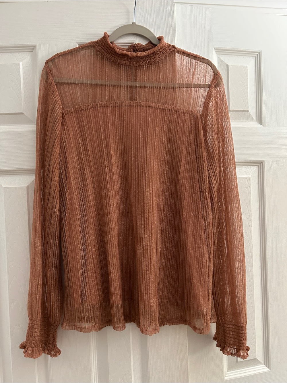 Adriana Papell Sheer Ruffle Neck Long-Sleeve Top - Rust